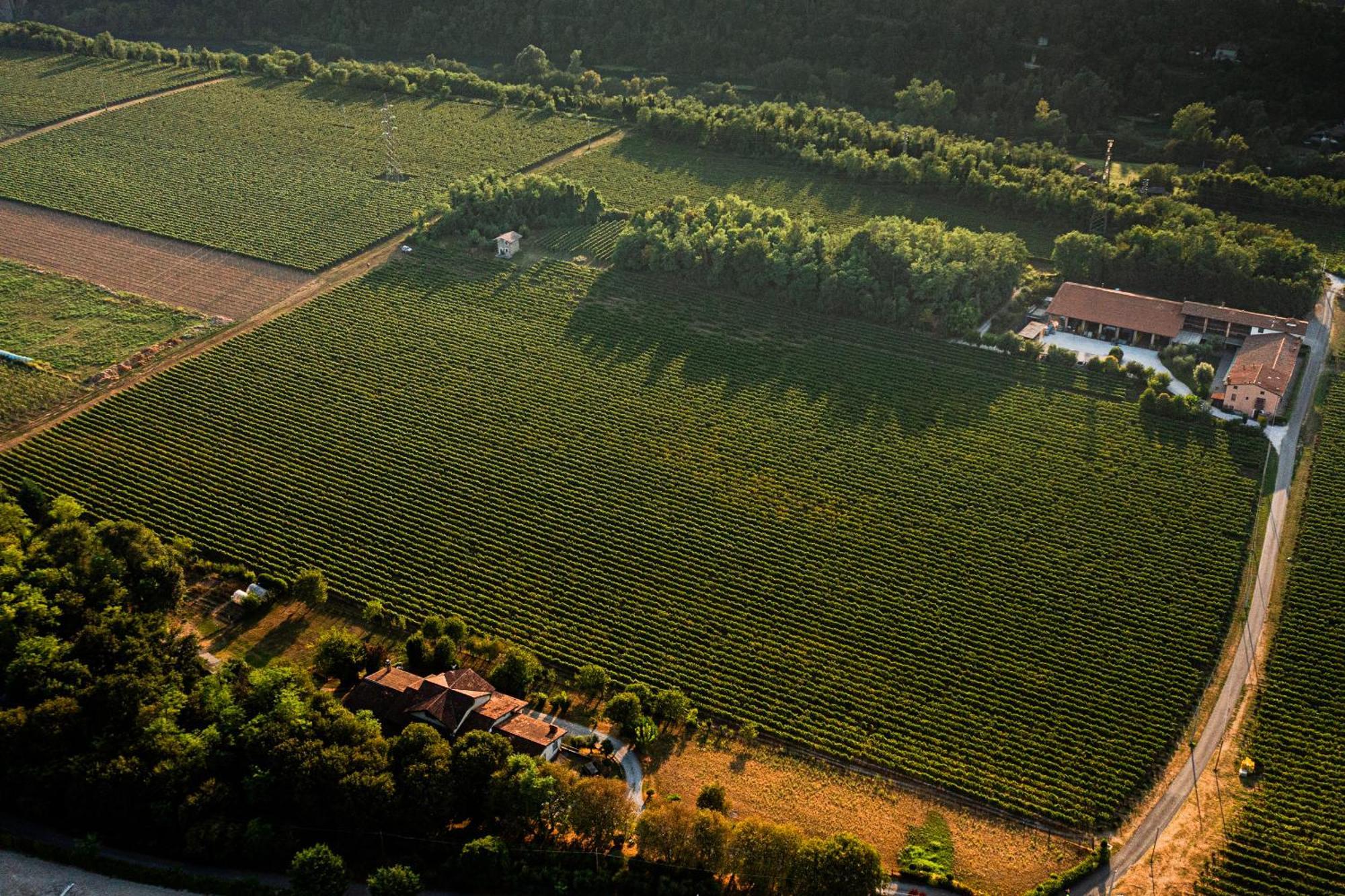 Agriturismo Ripa Del Bosco Capriolo Bagian luar foto